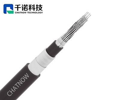 SWA AMOURED instrumentaalkaabel 19PRx1,0 mm2